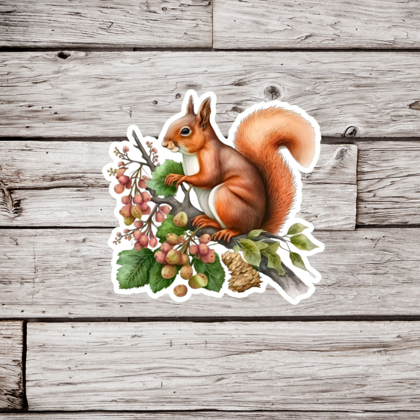 Squirrel Sticker