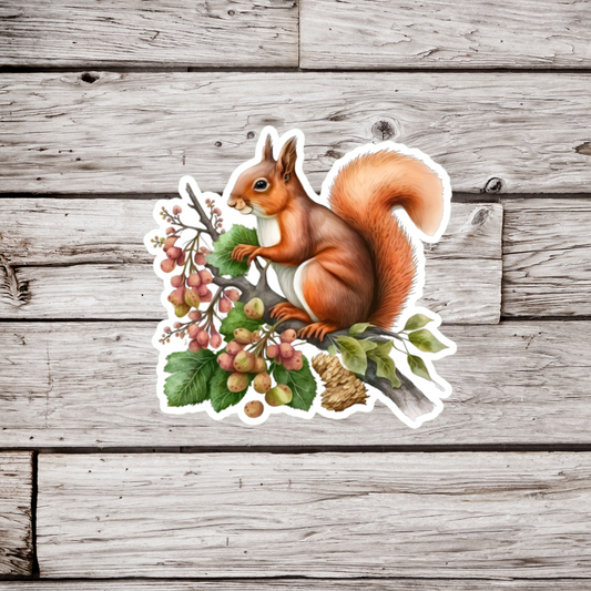 Squirrel Sticker