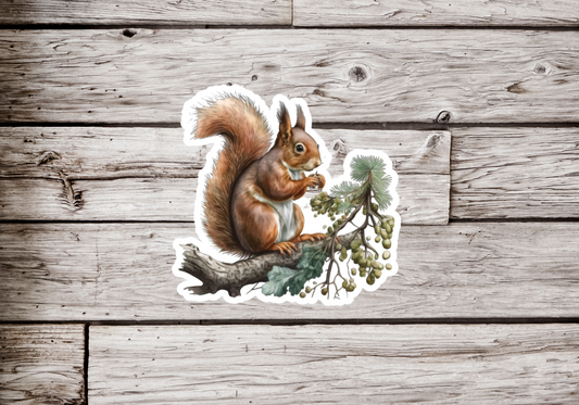 Squirrel Sticker