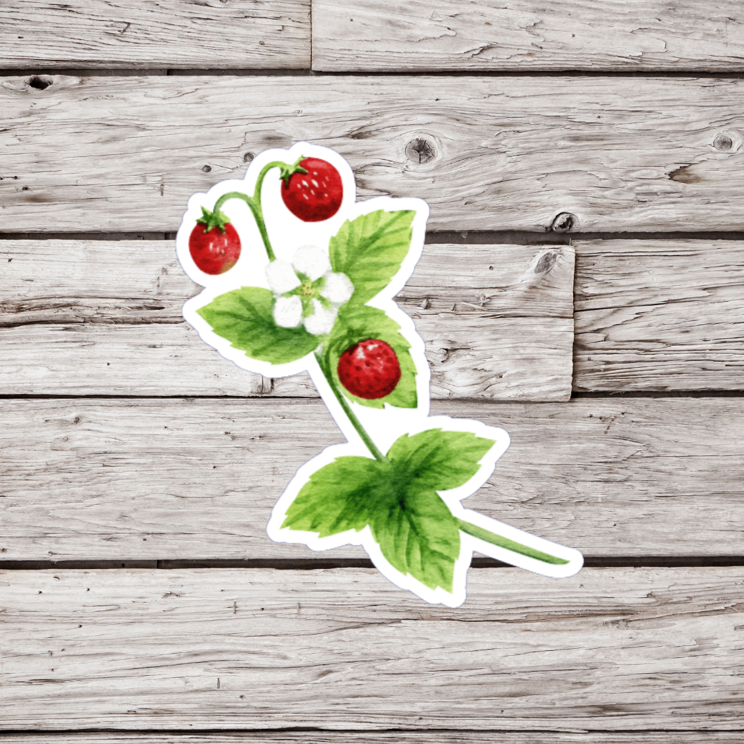 Strawberry Sticker