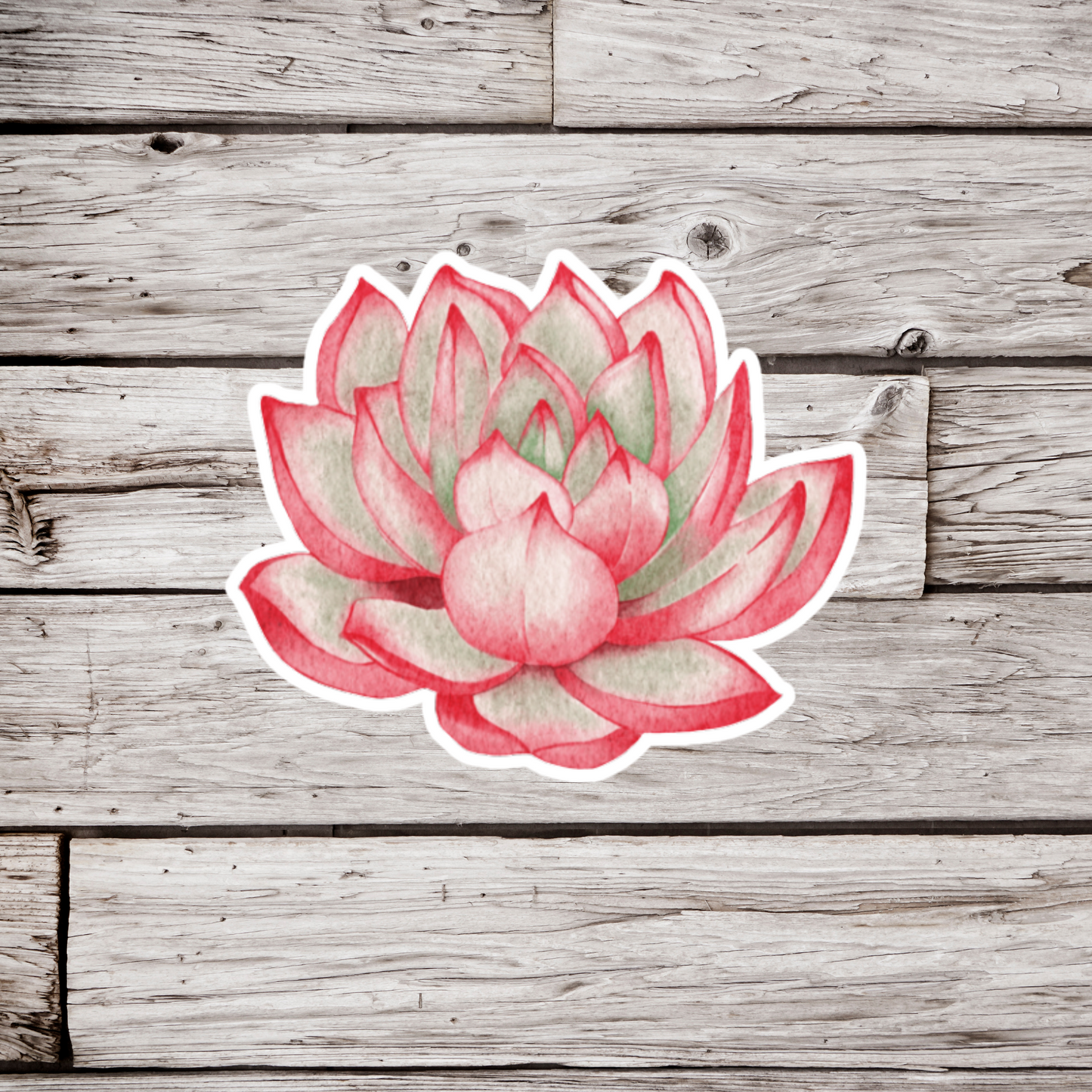 Succulent Sticker