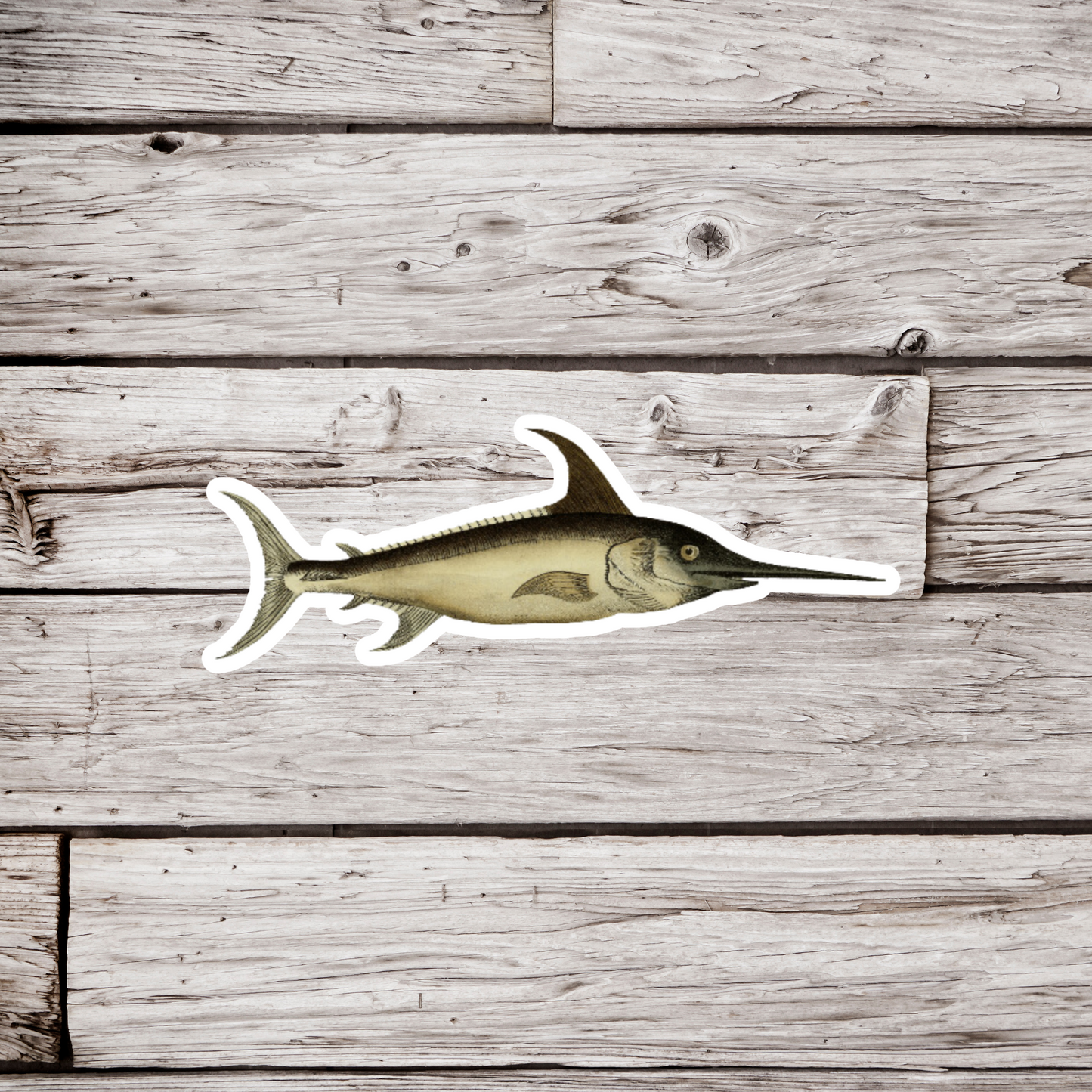 Swordfish Sticker
