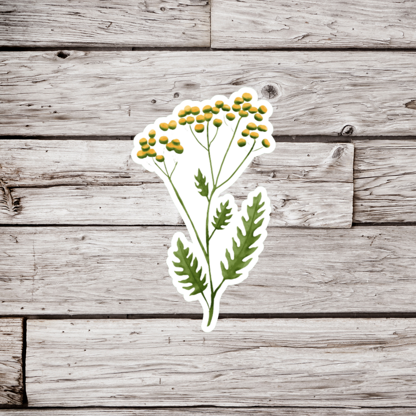Tansy Flower Sticker