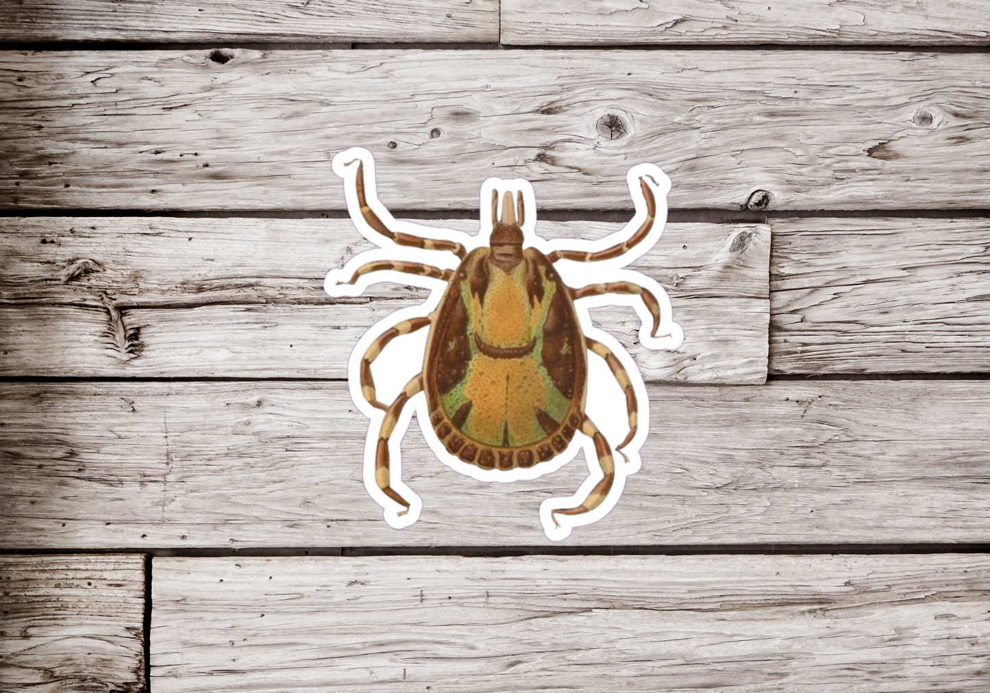 Tick Sticker