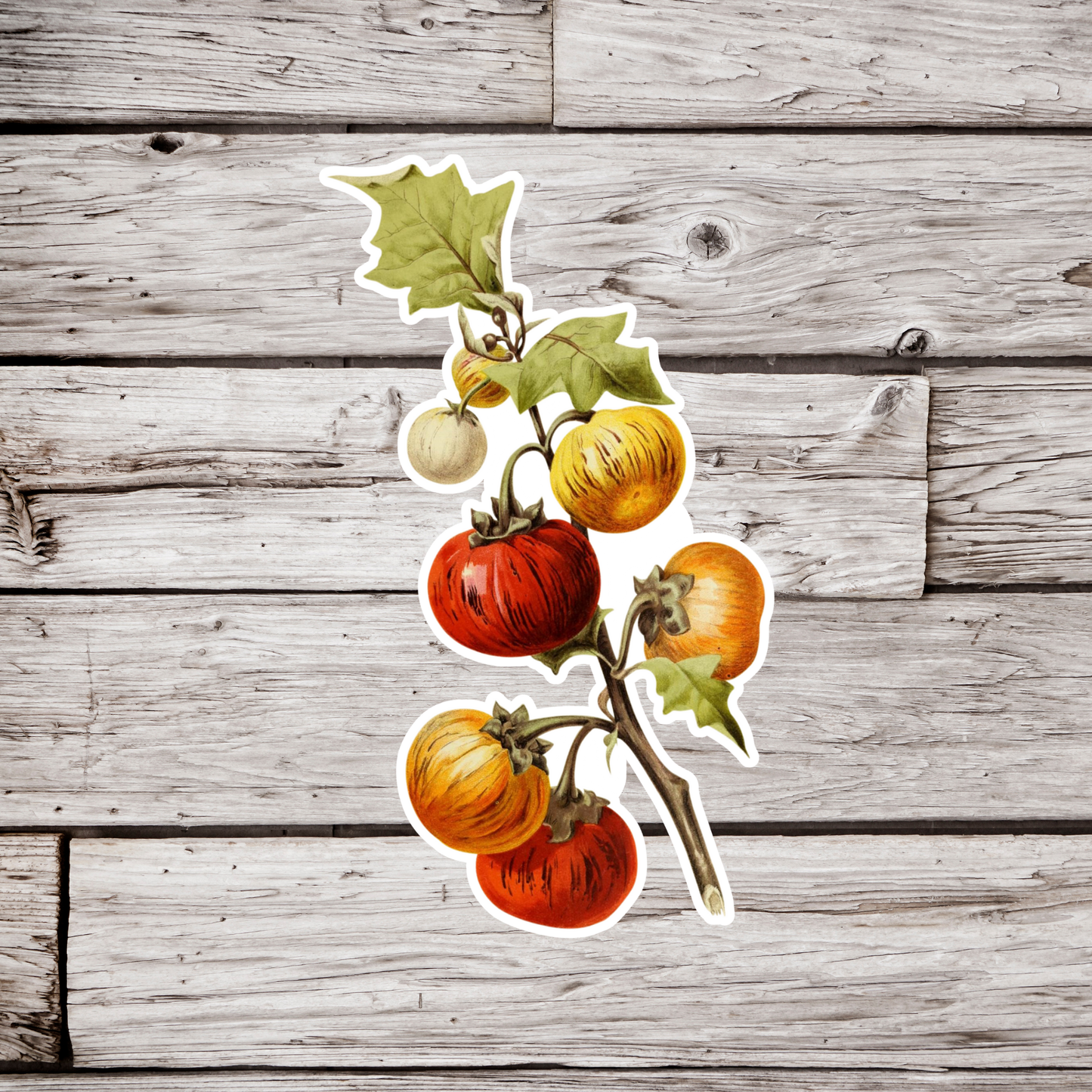 Tomato Sticker