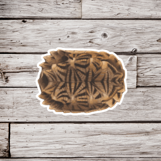 Tortoise Shell Sticker