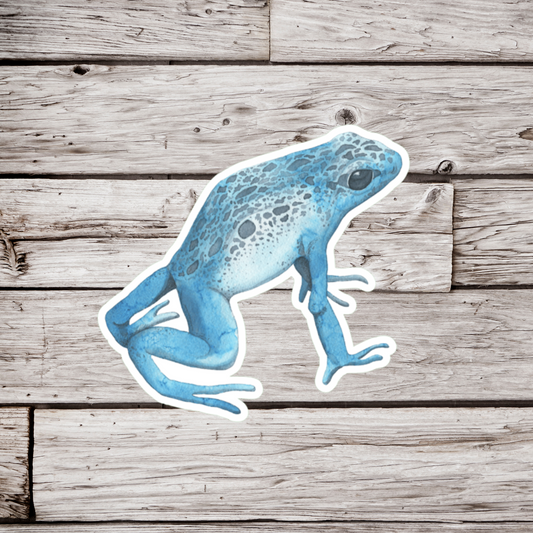 Tree Frog Sticker