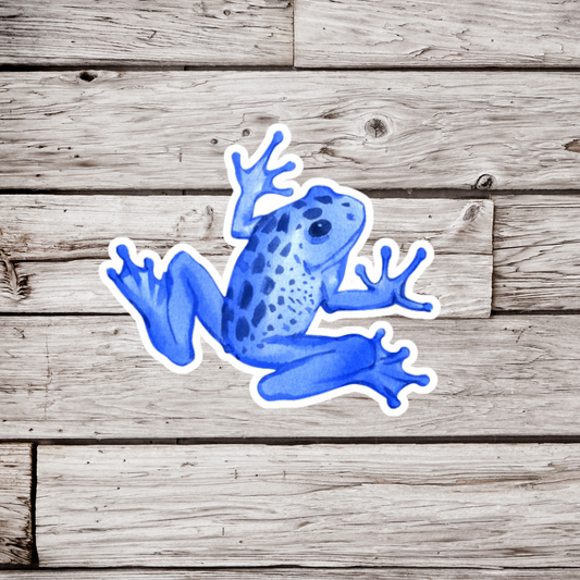 Tree Frog Sticker