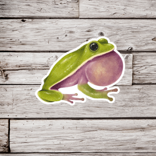 Tree Frog Sticker