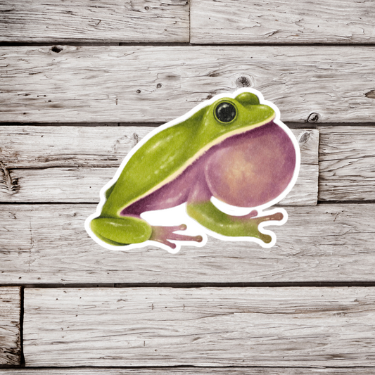 Tree Frog Sticker or Magnet