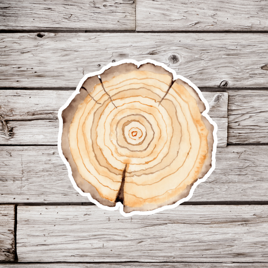 Tree Slice Sticker