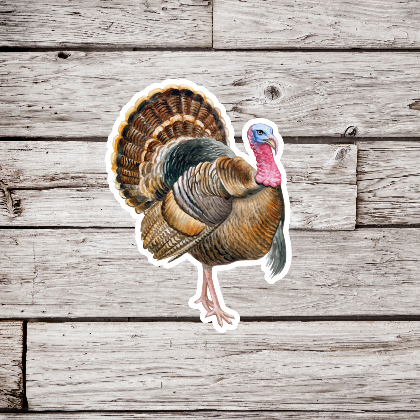 Turkey Sticker