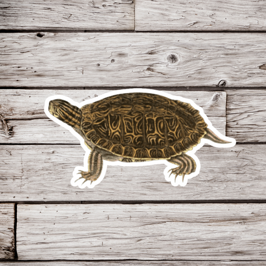 Turtle Sticker or Magnet