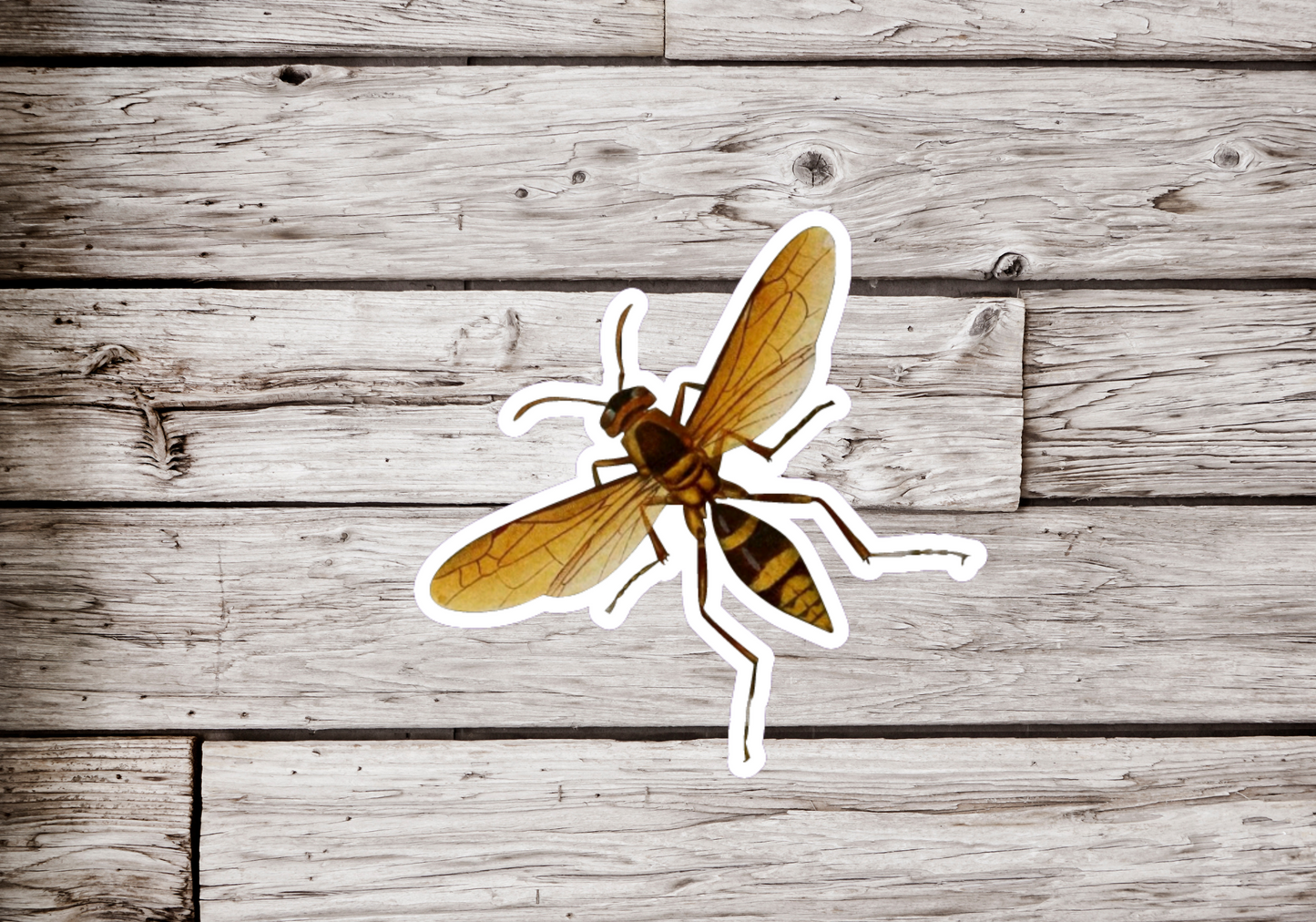 Wasp Sticker