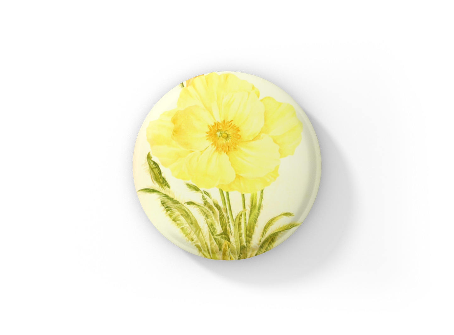 Welsh Poppy Flower Yellow Pin Back Button, Magnet, Keychain