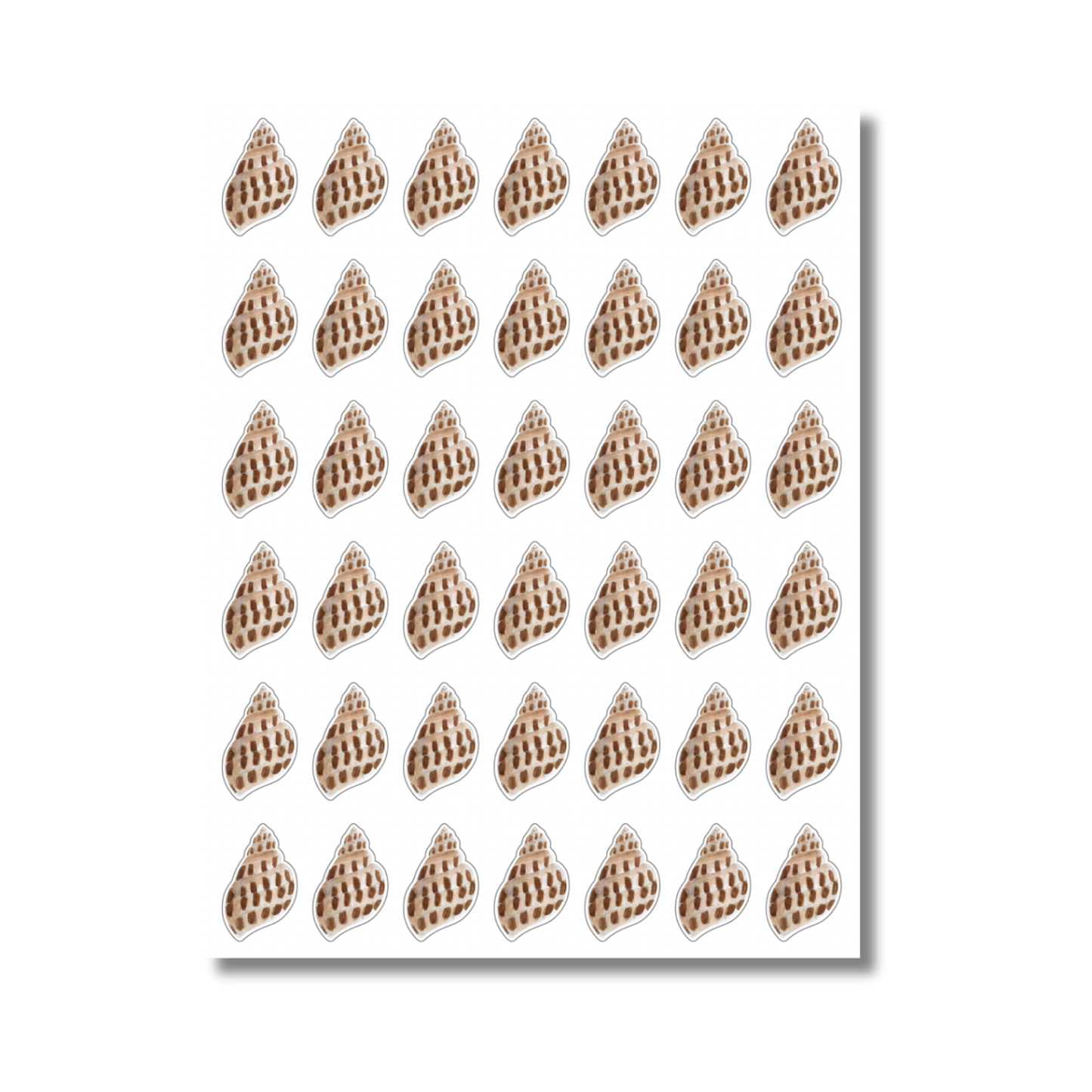 Babylon Shell Sticker Sheet