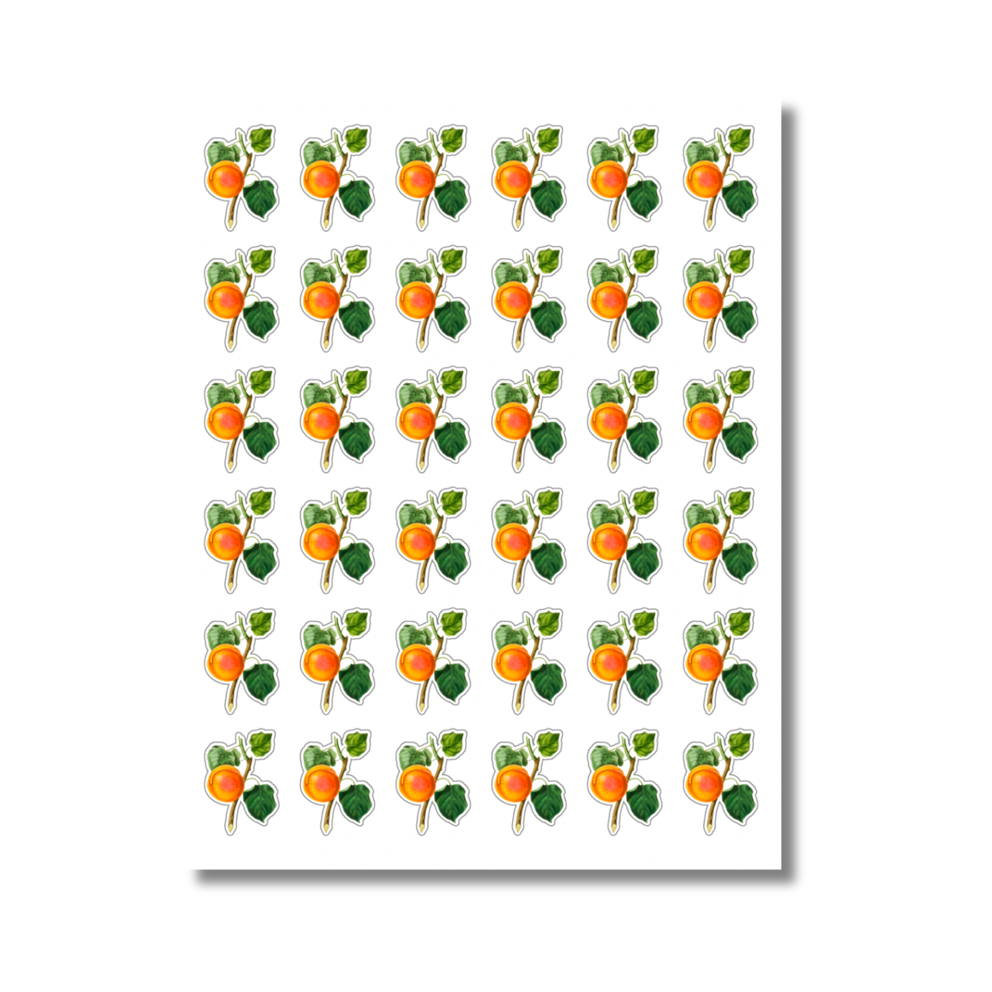 Apricot Sticker Sheet