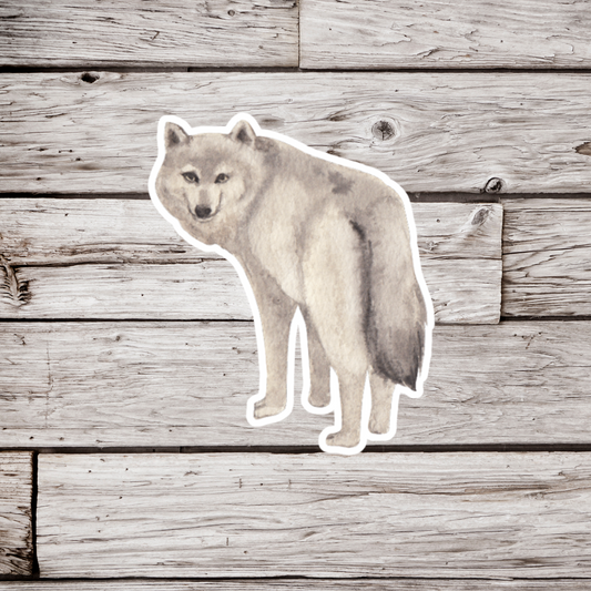 Wolf Sticker or Magnet