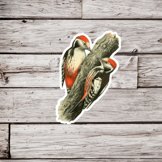 Woodpeckers Sticker