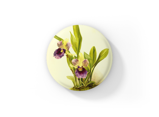 Zygopetalum Orchid Flower Orchid Pin Back Button, Magnet, Keychain