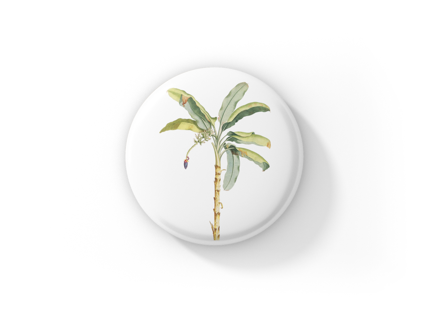 Banana Tree Pin Back Button, Magnet, Keychain