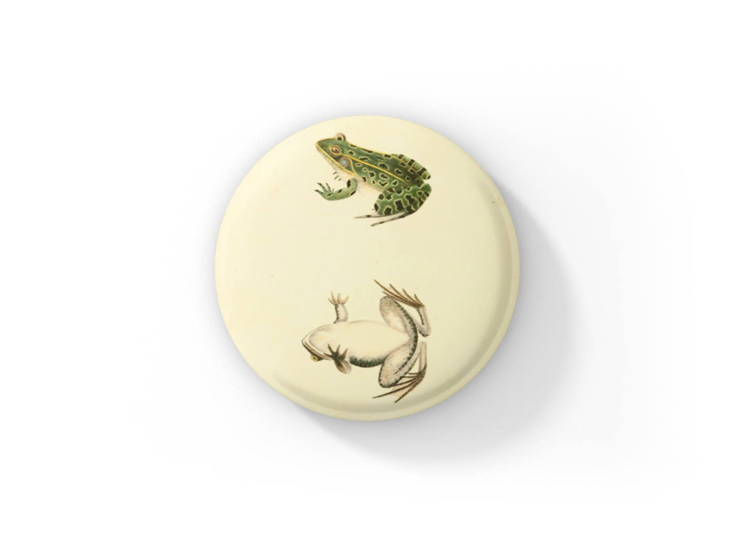 Leopard Frog Pin Back Button, Magnet, Keychain