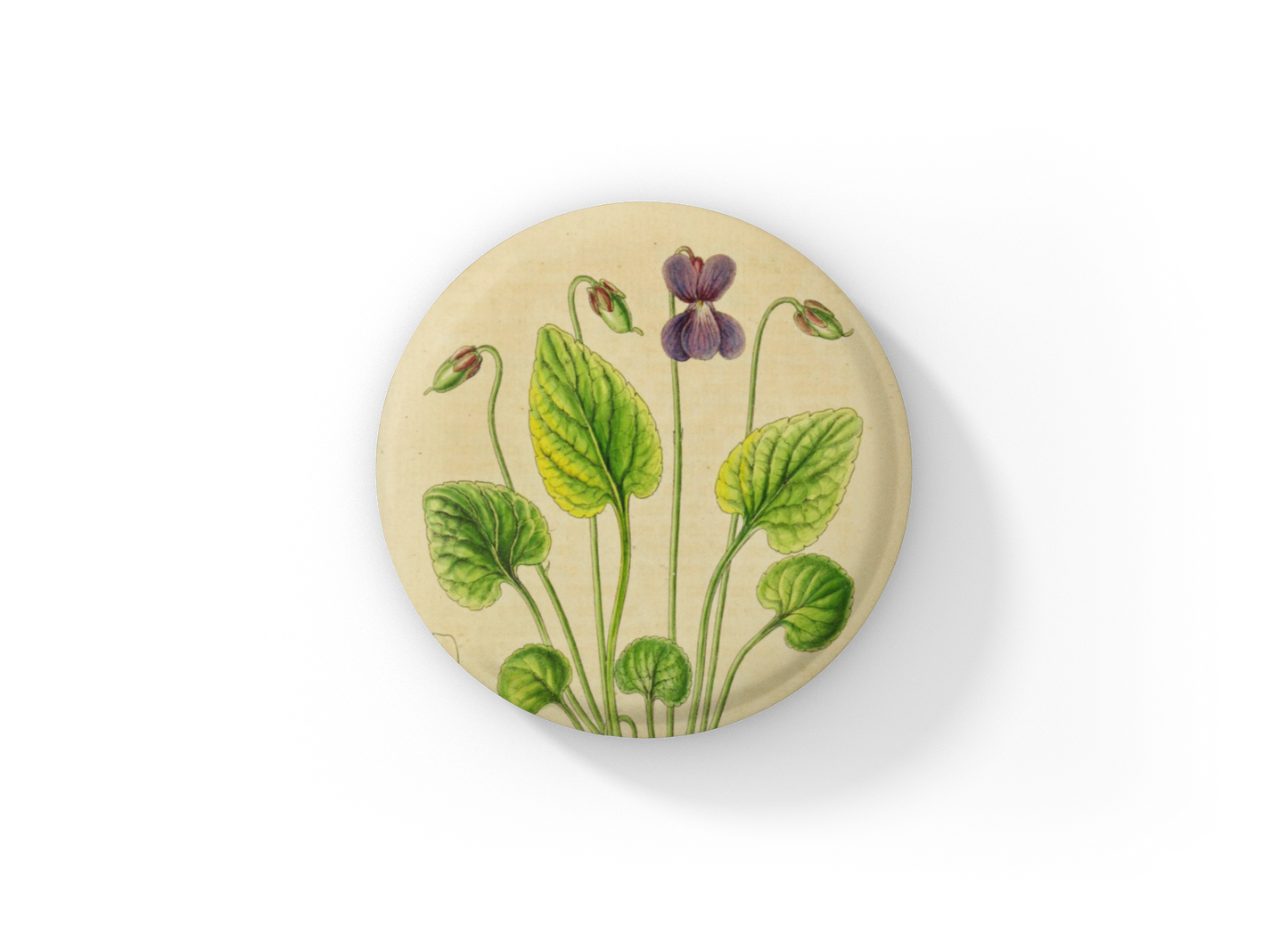 Violet Flower Pin Back Button, Magnet, Keychain