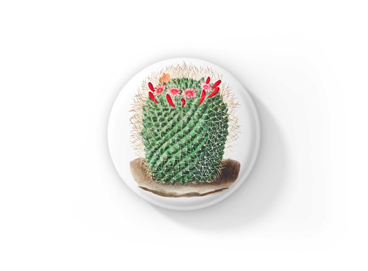 Cactus Pin Back Button, Magnet, Keychain