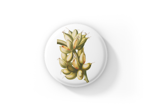 Banana Pin Back Button, Magnet, Keychain