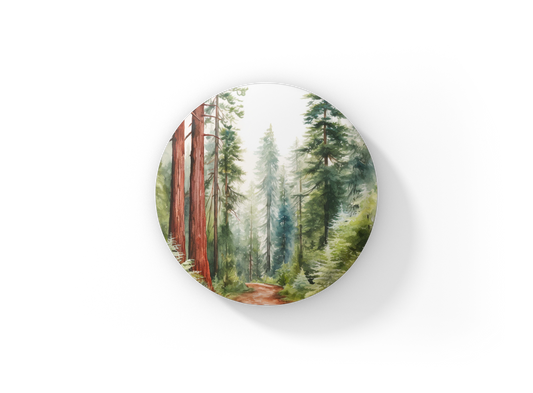 Redwood Forest 2 Pin Back Button, Magnet, Keychain