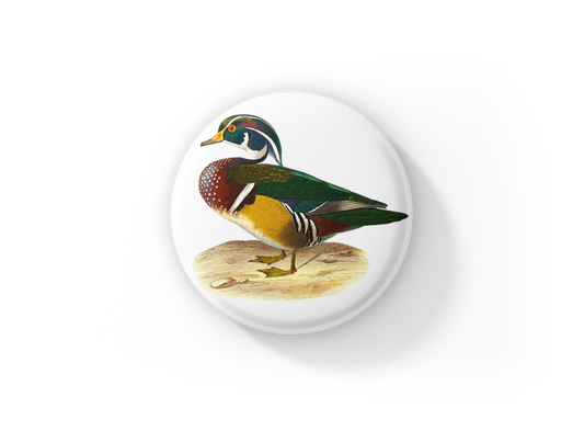 Wood Duck Pin Back Button, Magnet, Keychain