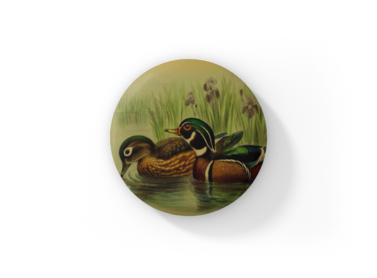 Wood Duck Pin Back Button, Magnet, Keychain
