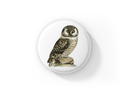 Boreal Owl Pin Back Button, Magnet, Keychain