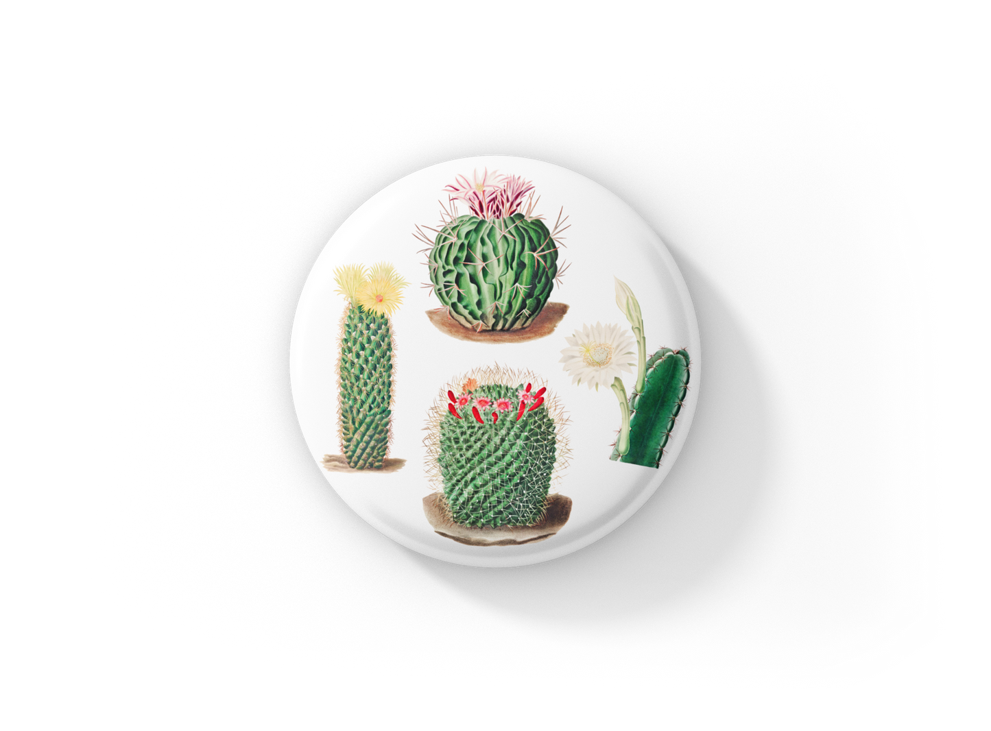 Cactus Pin Back Button, Magnet, Keychain