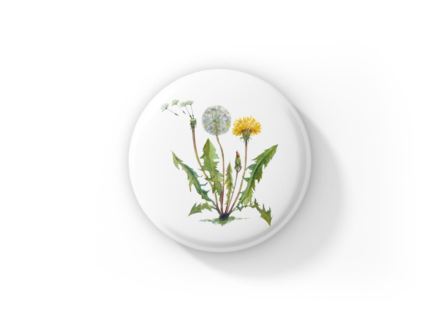 Dandelion Pin Back Button, Magnet, Keychain