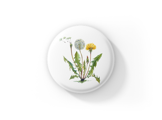 Dandelion Pin Back Button, Magnet, Keychain