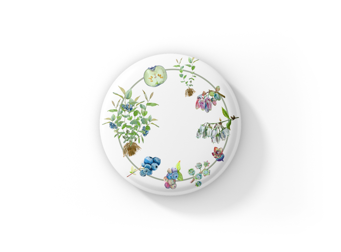 Blueberry Life Cycle Pin Back Button, Magnet, Keychain