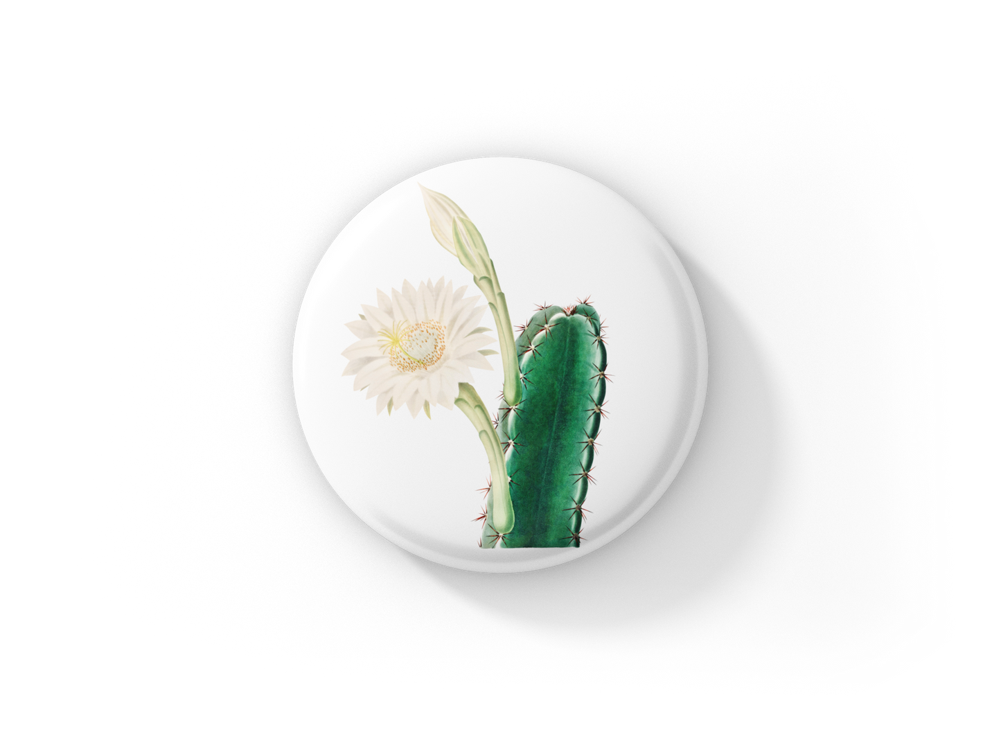 Cactus Pin Back Button, Magnet, Keychain