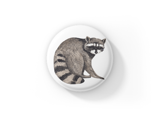 Raccoon Pin Back Button, Magnet, Keychain