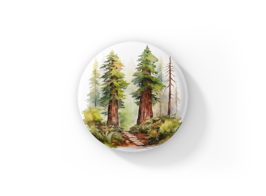 Redwood Forest 3 Pin Back Button, Magnet, Keychain