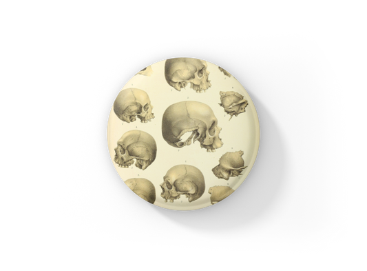 Skull Pin Back Button, Magnet, Keychain