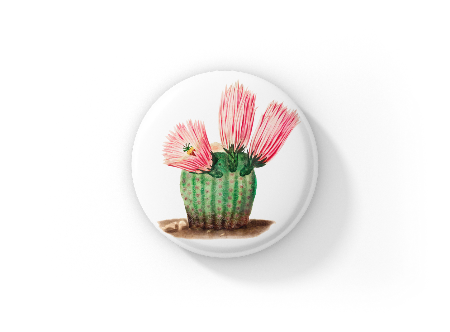 Cactus Pin Back Button, Magnet, Keychain