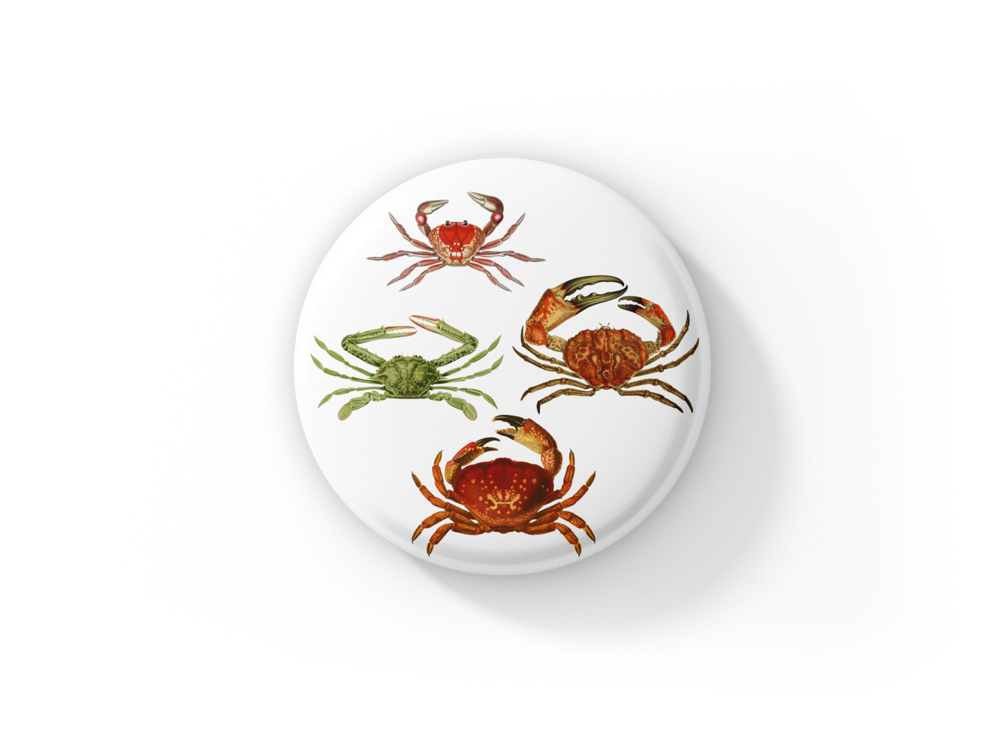 Crab Sticker Pin Back Button, Magnet, Keychain