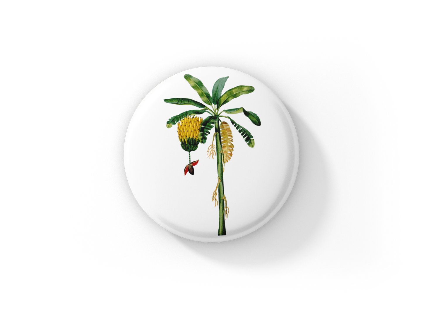 Banana Tree Pin Back Button, Magnet, Keychain