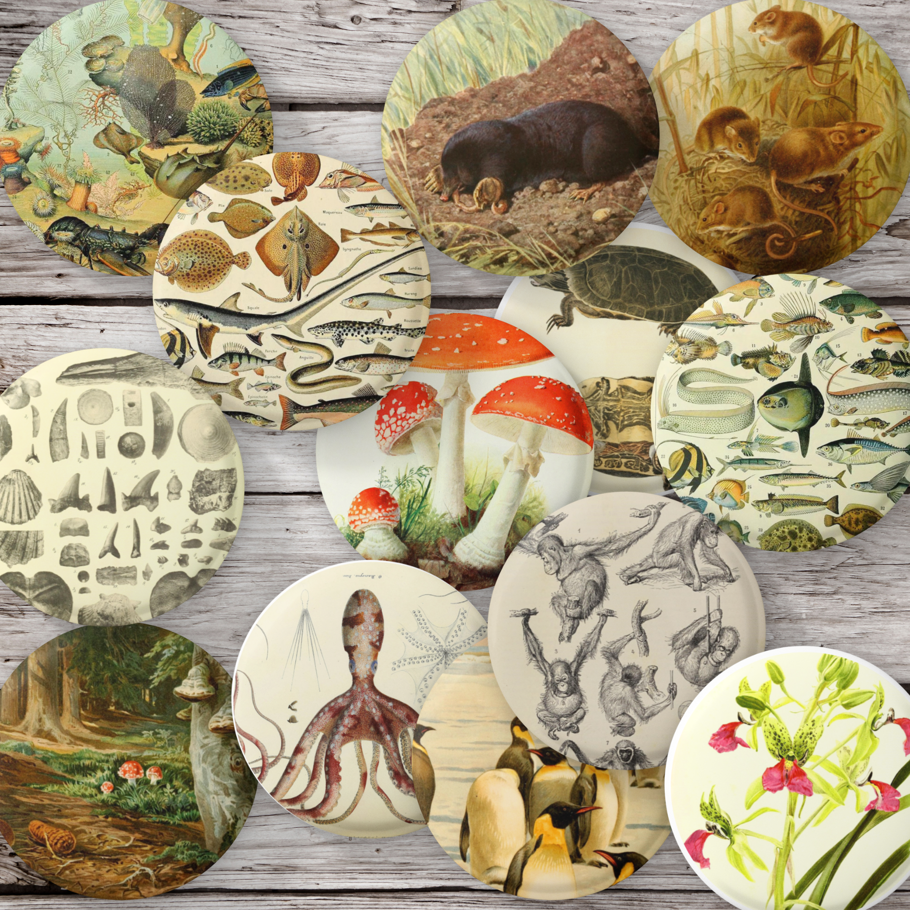 Mix Pin Sets – NatureCuts