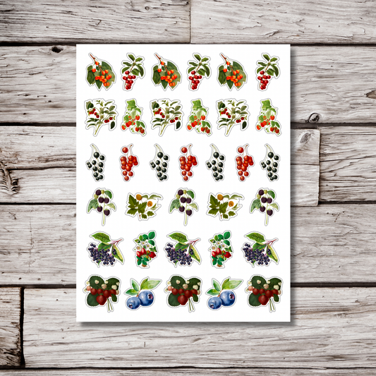 Mix Fruit Sticker Sheet
