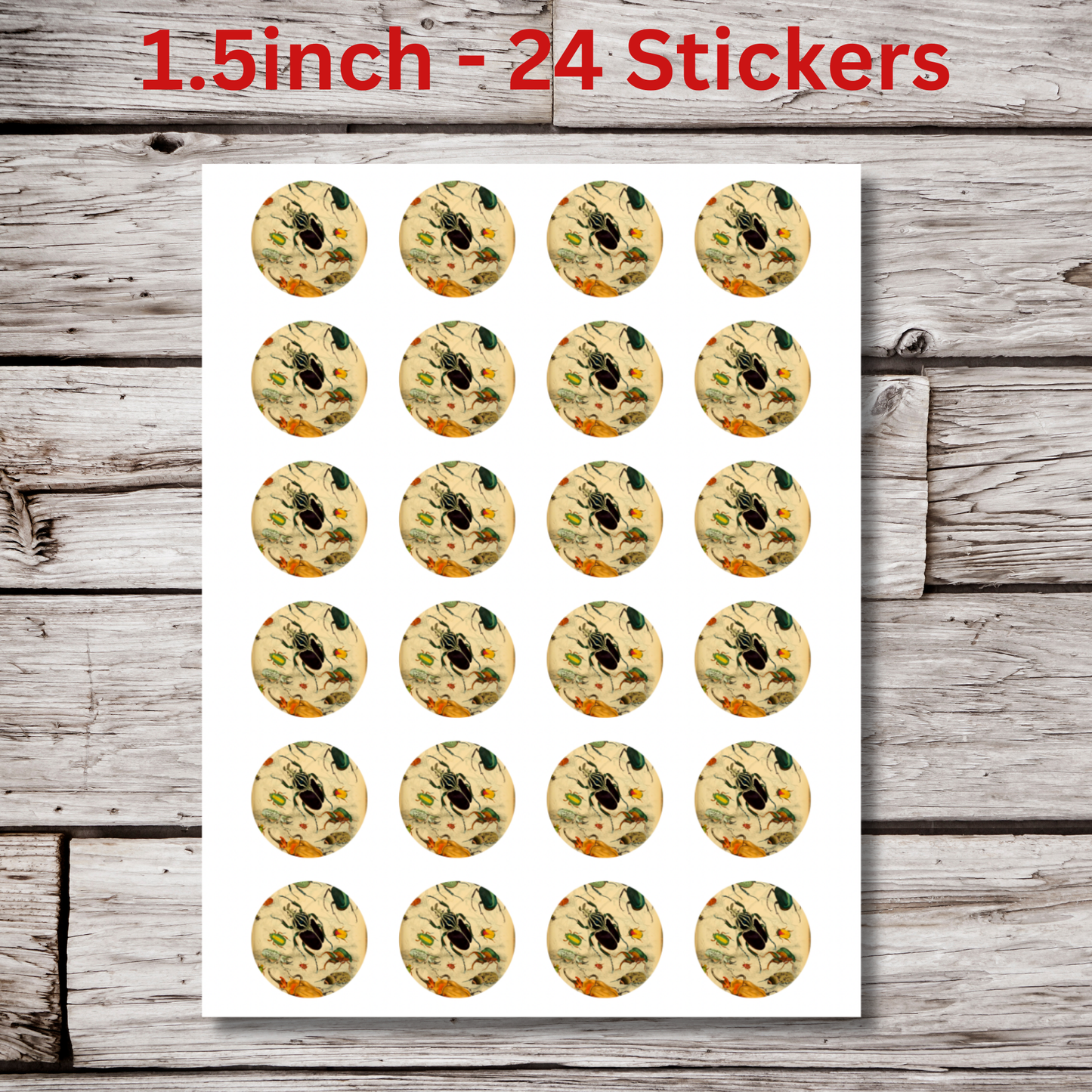Beetle Circle Sticker Sheet