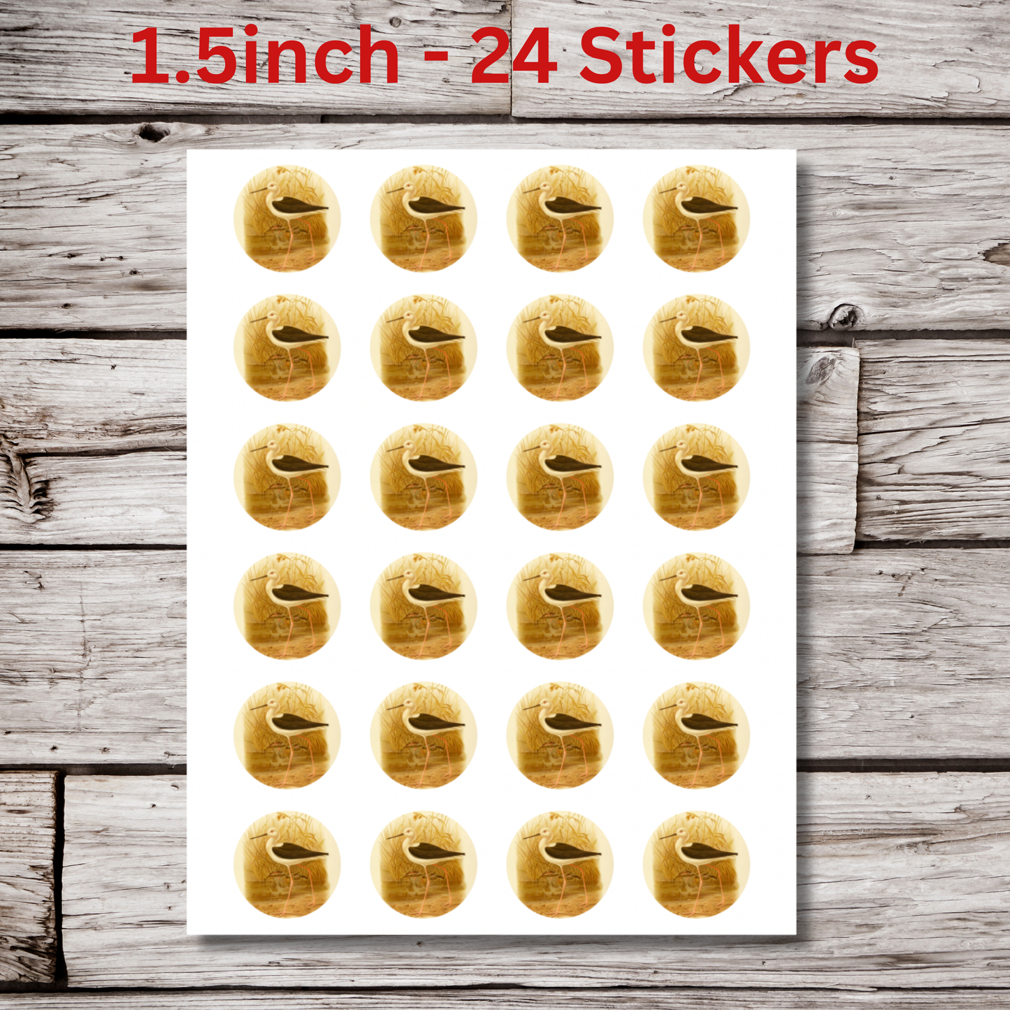 Bird Circle Sticker Sheet