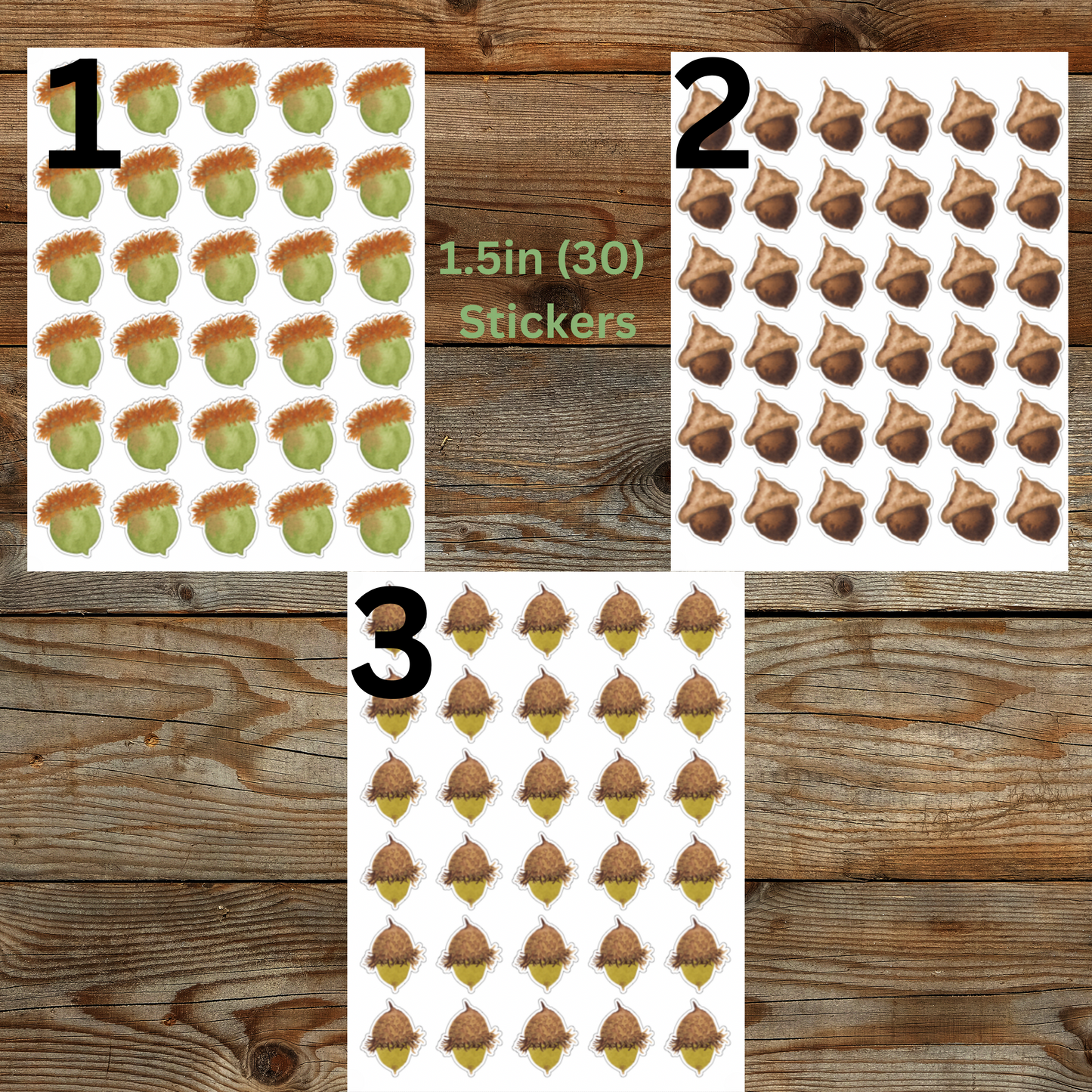 Acorn Sticker Sheet