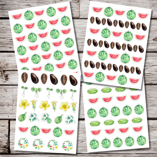 Watermelon Sticker Sheet